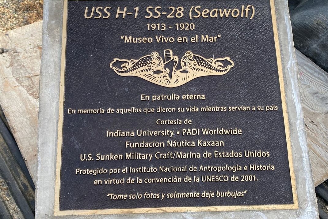 406802570 18014506199053670 7887454524165831403 n