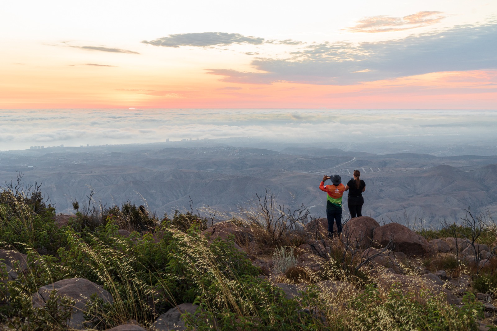 f0cbfff5 bed8 4c08 9273 0dd91499ac1d